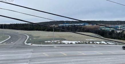 10 Edmonds Place, St. John`s, NL A1B0C7