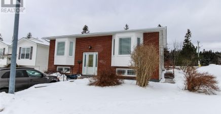 4 Bellevue Crescent, St. John`s, NL 